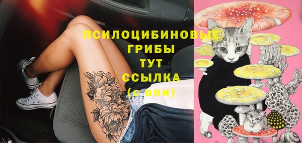 mdma Вяземский