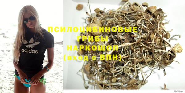 амф Вязьма